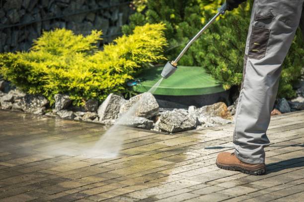 Best Winterizing Services  in Goliad, TX