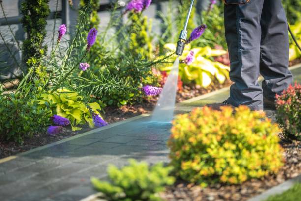 Best Sidewalk and Walkway Cleaning  in Goliad, TX